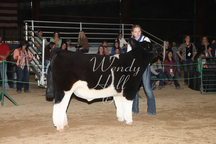 332_8634