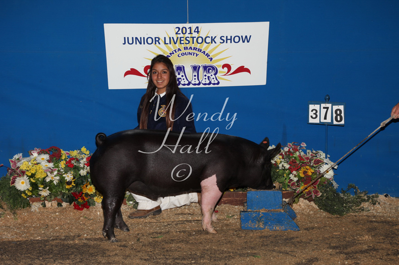 335_2774