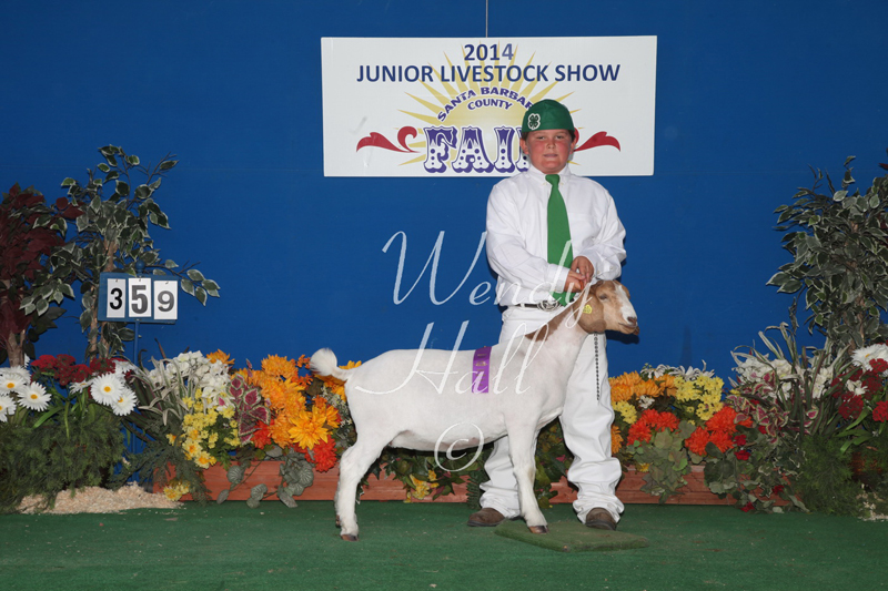 335_0948