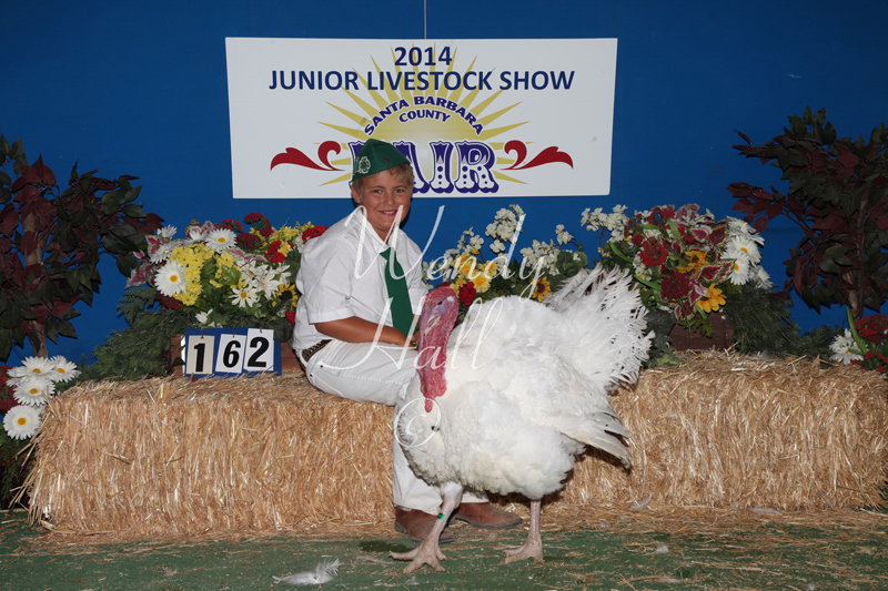 335_2175