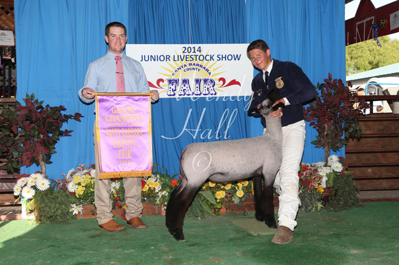 335_1677best