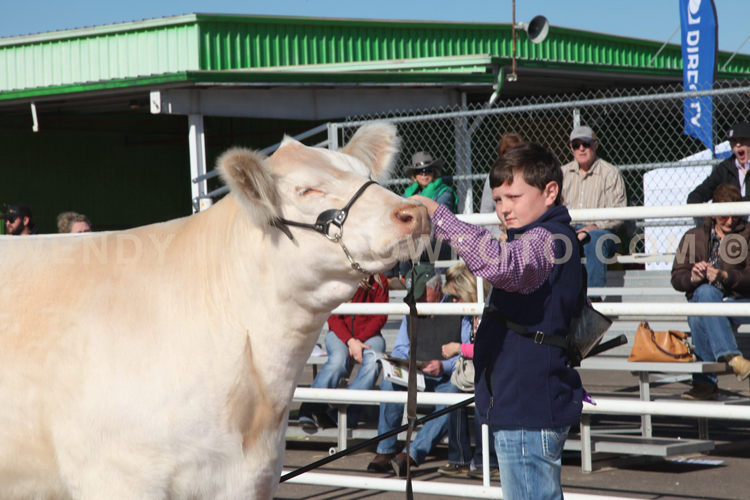 338_0584