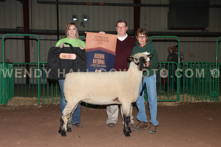 338_1540