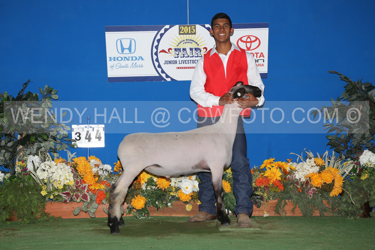 442_5790