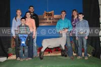 161_6320_BEST