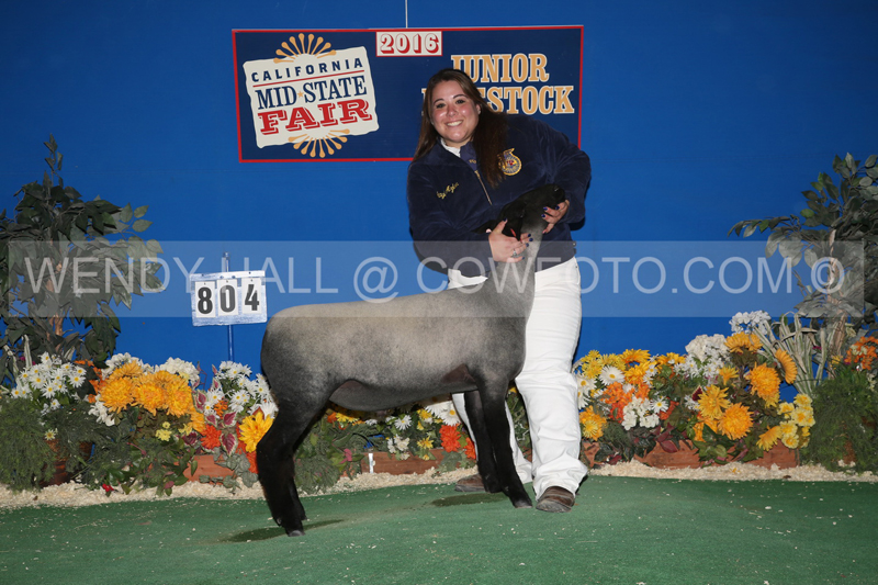 165_2681