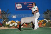 173_6829 - Copy