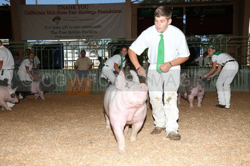 175_1887
