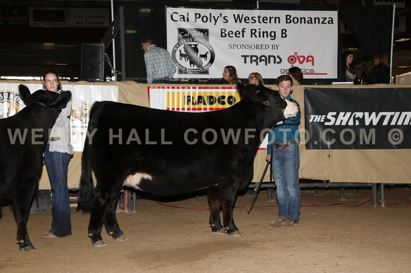 171_6559