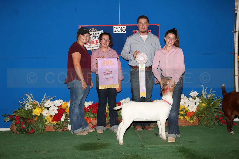 188_9380_BEST
