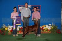 188_9375_BEST