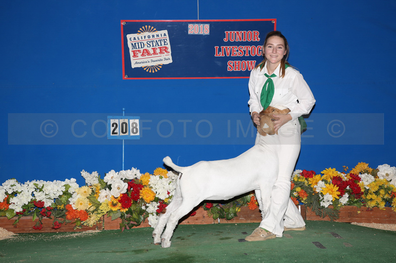 186_6728