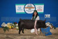 185_5176