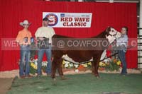 181_9394_best