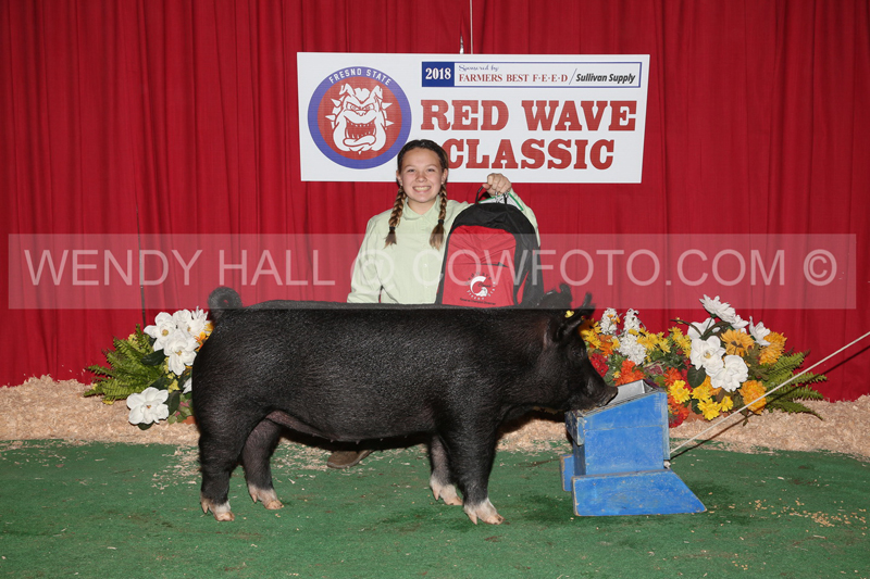 181_9220_best