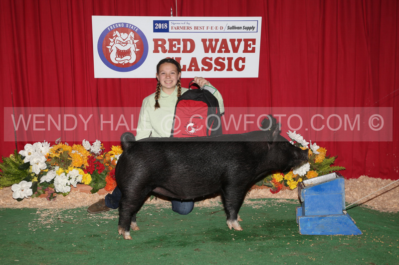 181_9224_best