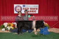 181_9193_best