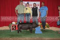 181_9591_best