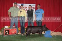 181_9595_best