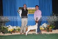 183_9481_best