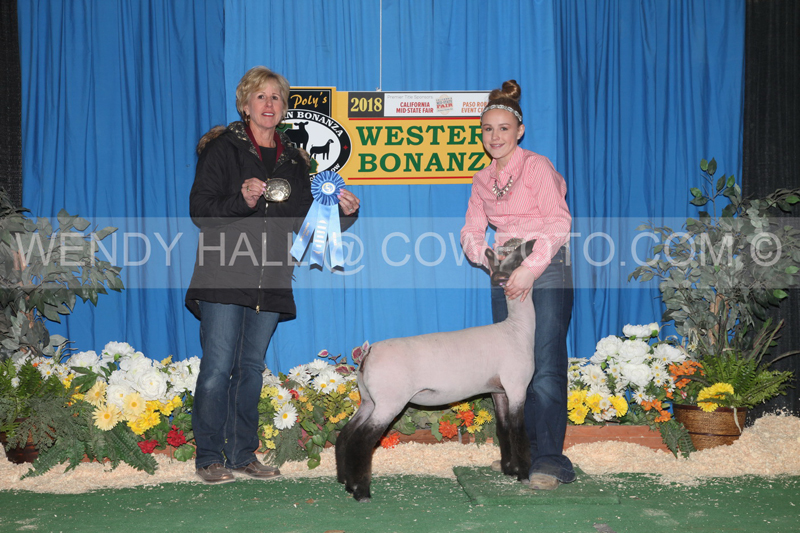 183_9428_best