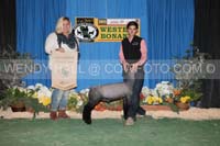 183_10071_best