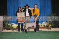183_9710_best