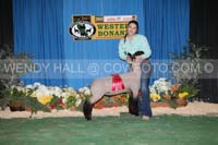 183_9763_best