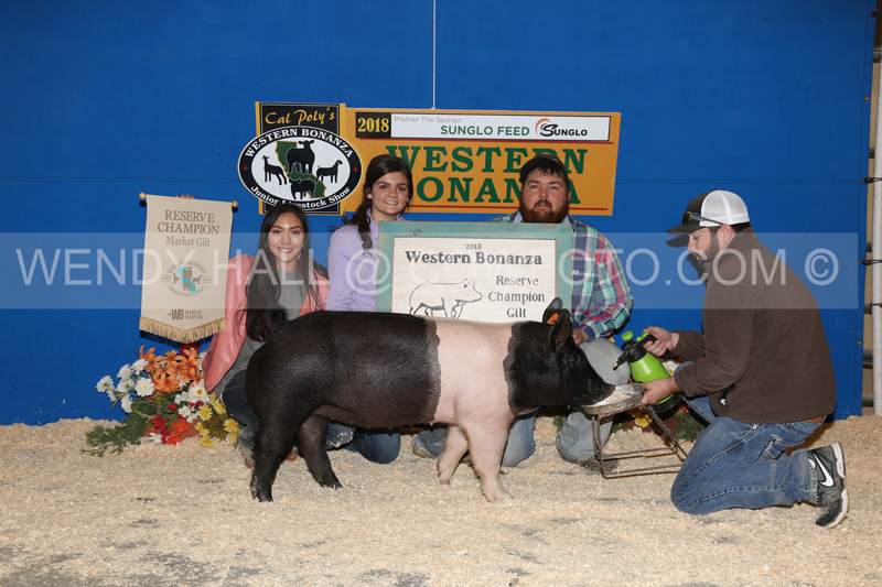 184_8198_best