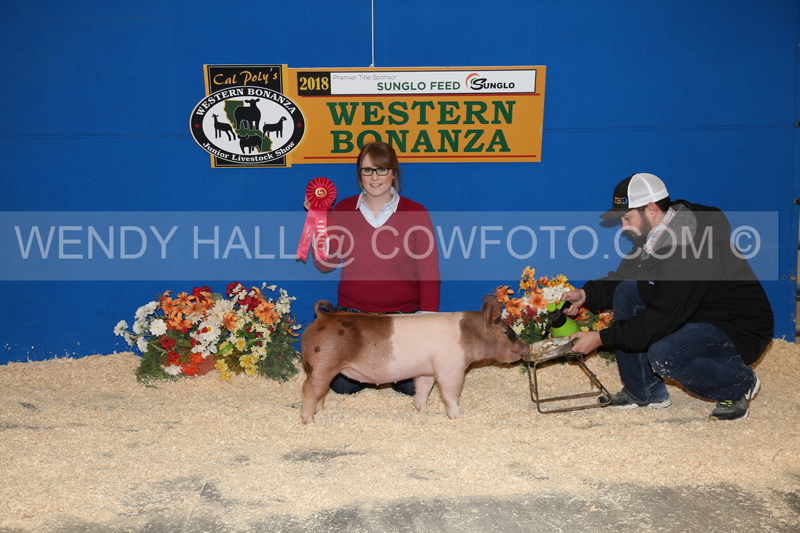 184_8405_best
