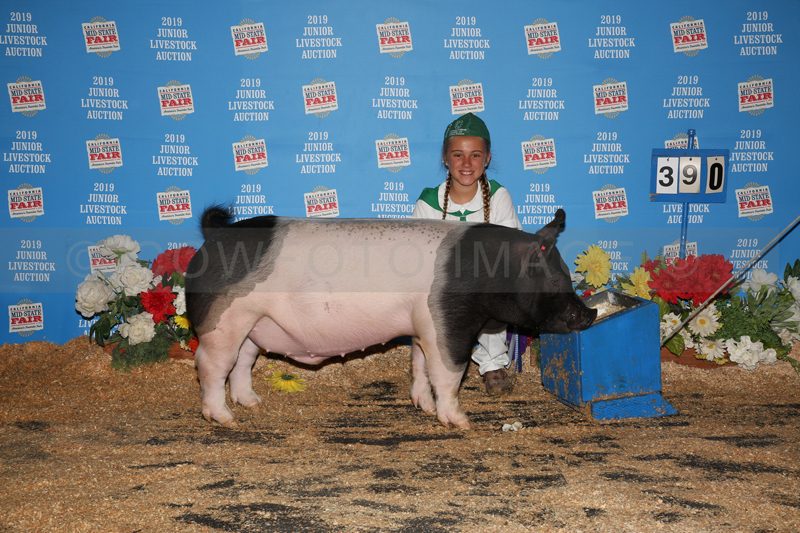 195_4572