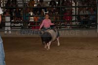 197_5195