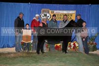 190_0611_best