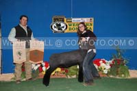 191_19058_best