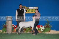 191_19209_best
