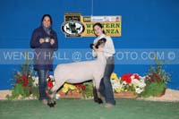 191_19262_best