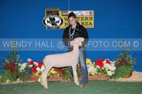 191_19274_best