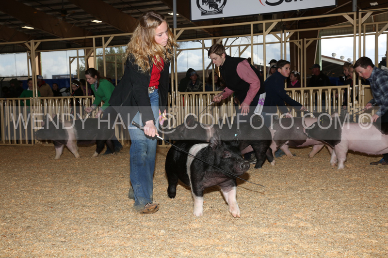 192_9018