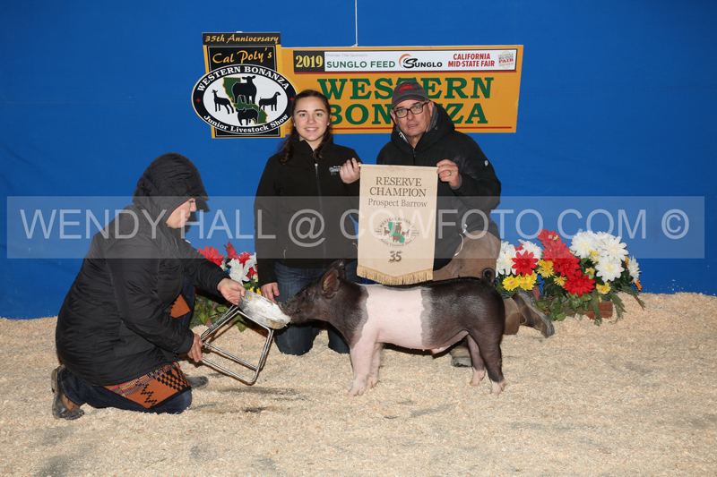 192_9028_best