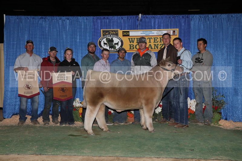 200_0964