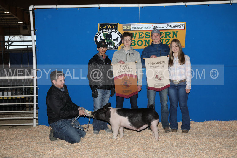 202_8203-BEST